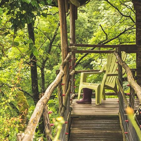 Terragora Lodges - Hebergement Atypique Les Épesses エクステリア 写真