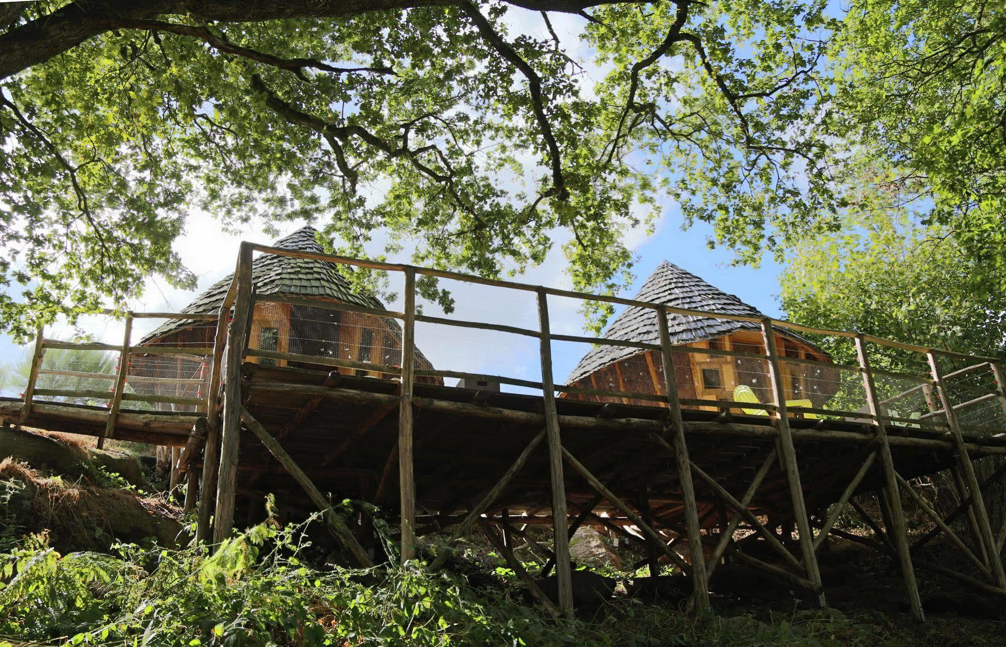Terragora Lodges - Hebergement Atypique Les Épesses エクステリア 写真